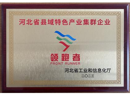 河北省县域特色产业集群企业领跑者
